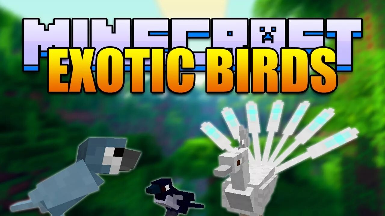 Minecraft birds. Exotic Birds майнкрафт. Мод Bird. Exotic Birds майнкрафт мод. Мод на птиц в майнкрафт.