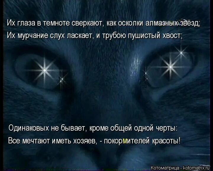 Глаза сверкают в темноте. Мерцает в глазах в темноте. Глаза блестят в темноте. Сияющие глаза в темноте. Материал сверкающий в темноте