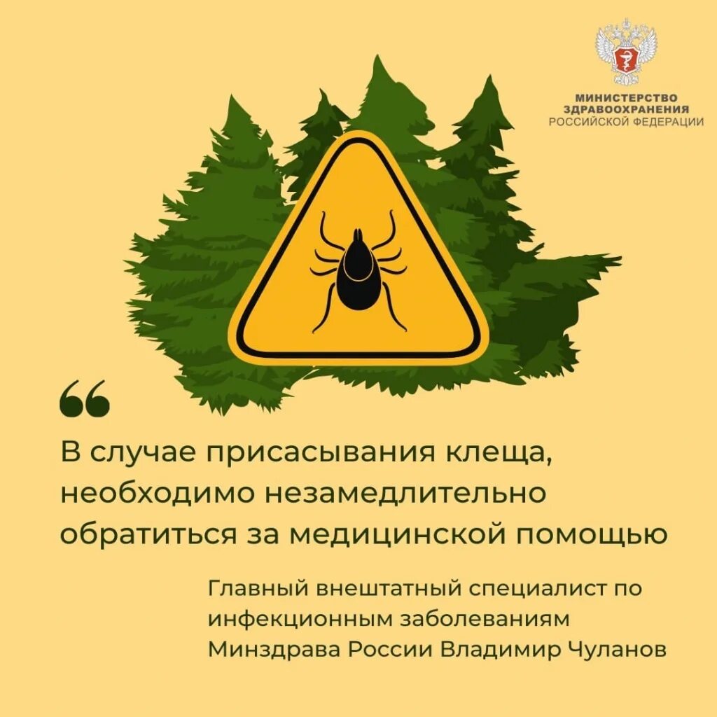 Клещевой энцефалит минздрав. Клещевой энцефалит минздрав. Иммунизация против клещевого энцефалита. Профилактика клещевого энцефалита. Профилактика клещевого инцефалит.