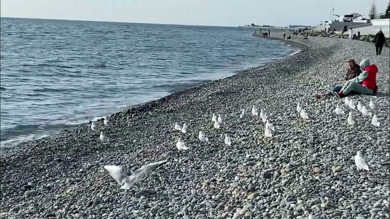 Сколько вода в море в сочи. Сочи в феврале 2022 года. Черное море Сочи. Черное море сейчас в Сочи. Море в Сочи в феврале.