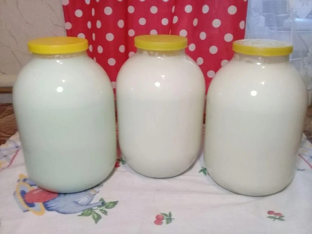 Молоко домашнее. Продается домашнее молоко. Молоко коровьедомашние. Молоко в банке. Бутылка молока буренка раньше вмещала