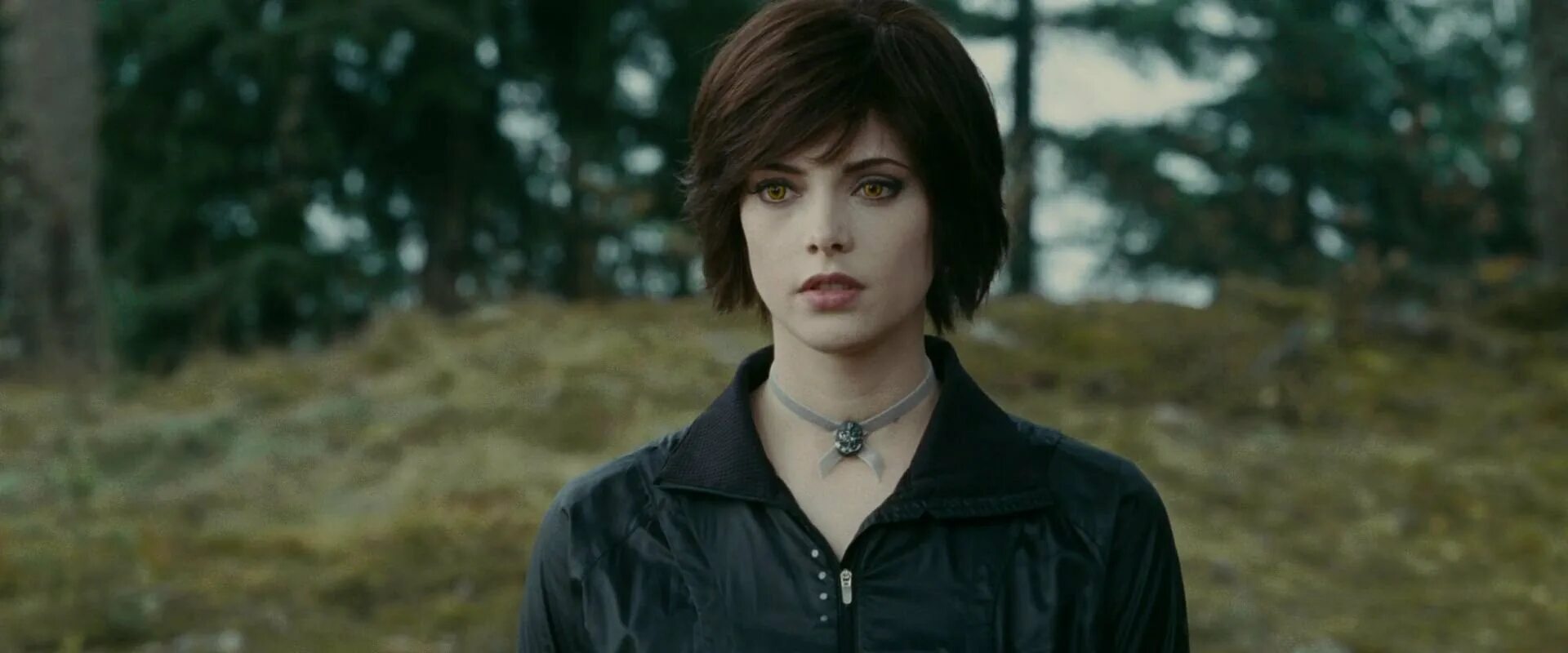 Элис каллен сумерки. Сколько элис лет. Элис хейл сумерки. Эшли грин сумерки. Эшли грин сумерки.