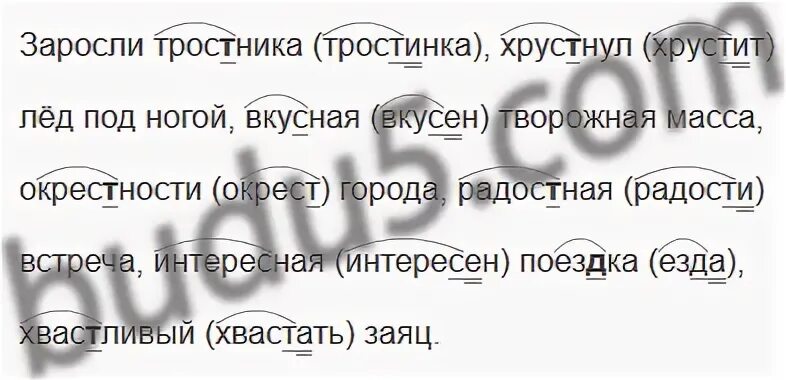 Окончание слова камышом. Тростник проверочное слово. Орфограмма в слове камыши 1 класс. Окрестность радостный грустный. Тростинка проверочное слово.