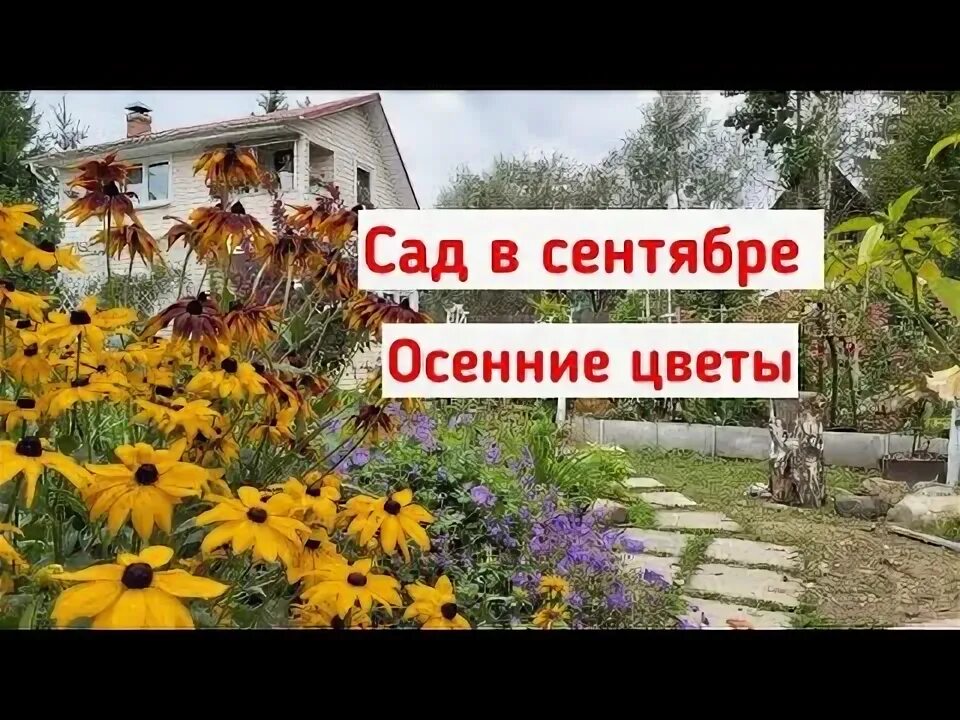 Бесплатный сад с сентября. Бесплатный сад с сентября. Бесплатный сад с сентября. Осенний огород. Осень в саду.