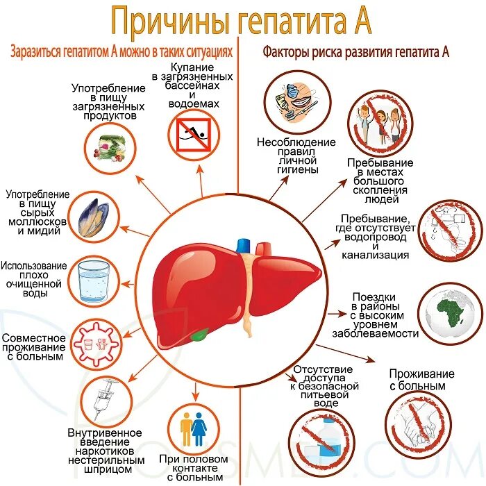 Переболевшие гепатитом б. Схема заражения человека вирусным гепатитом. Гепатит с пути и факторы передачи инфекции. Болезнь Боткина путь передачи инфекции. Инфекция вирусного гепатита симптомы.