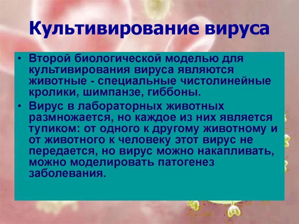 Человек культивируется