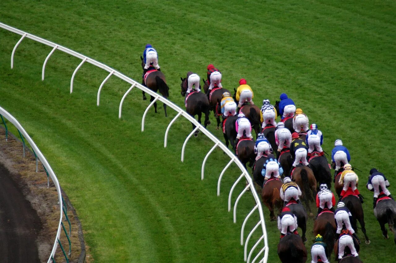 Скачки задом вперед. Horse Racetrack. Melbourne Cup Horse Racing Aerial view. Photo finish Horse Racing.