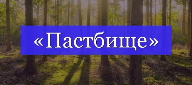 Проверочное слово слова пастбище. Пастбище проверочное слово. Пастбище проверочное слово непроизносимая согласная. Проверочное слово слова пастбище. Пасутся проверочное слово.