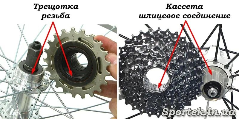 Чем отличаются кассеты. Отличие кассеты от трещетки. Трещетка кассета отличия. Как отличить кассету от трещотки. Кассета и трещетка на велосипеде.