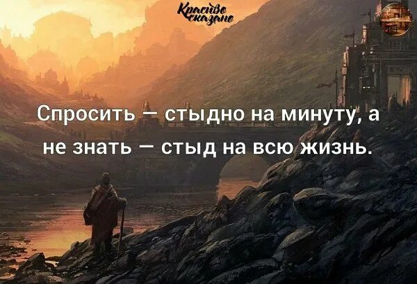 Стыдно знать 1. Спросить не стыдно стыдно не знать. стыдно афоризмы. спросить стыдно на минуту. высказывания про стыд.