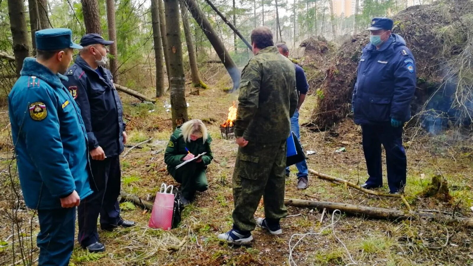 Сторож пожарный. Патрулирование леса. Патрулирование лесов от пожаров. Нарушения в лесу. Патрулирование лесного фонда.