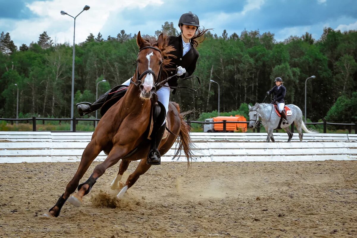 Конный спорт спортсмены. Новосибирский ипподром конкур. Конный спорт. Конкур конный спорт. Лошадь спортсмен.