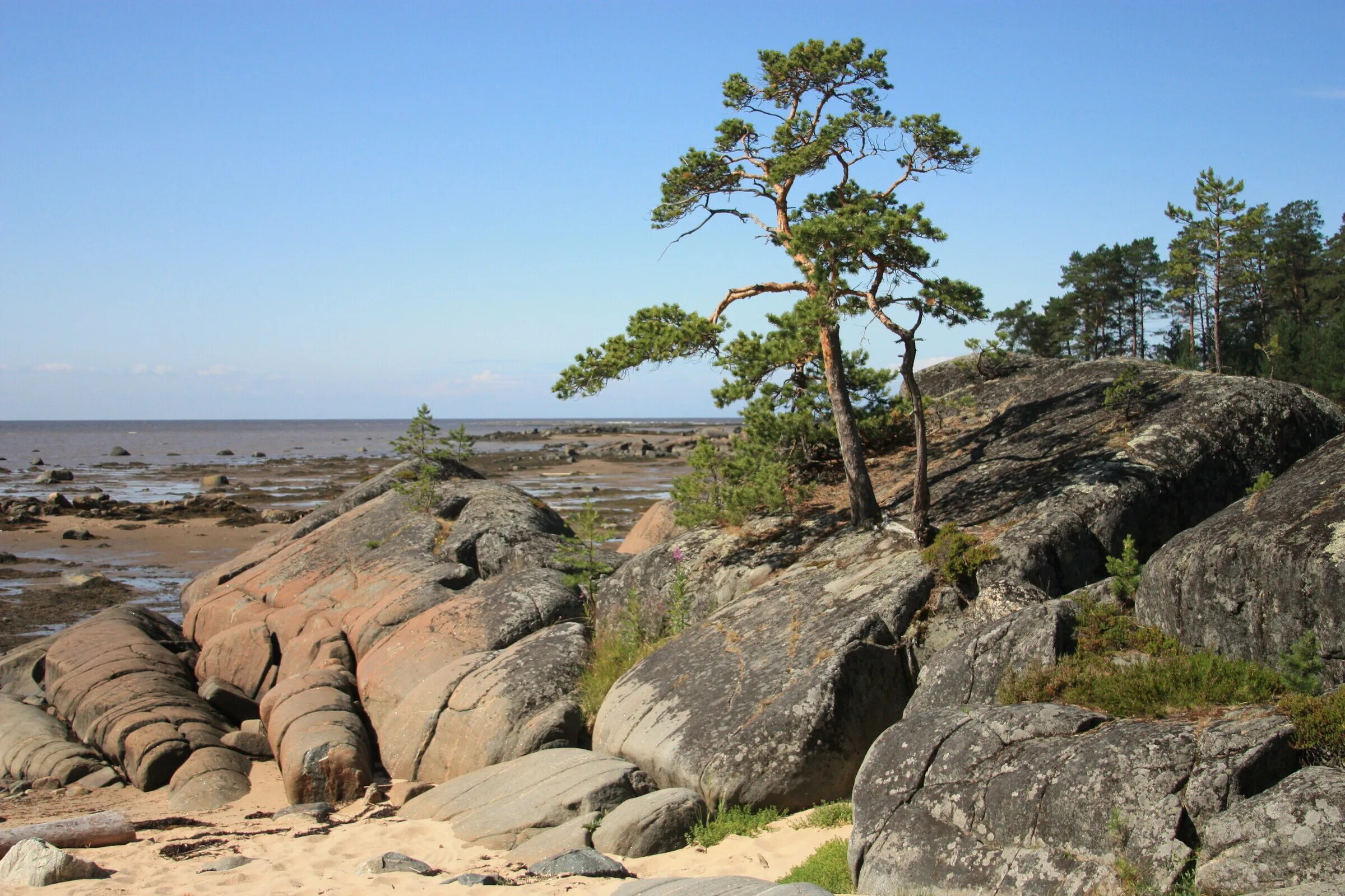 Республика карелия белое море. Природа карелии онежское озеро. Скалами кий острова. Остров камень кий. Белое море архангельск остров кий.