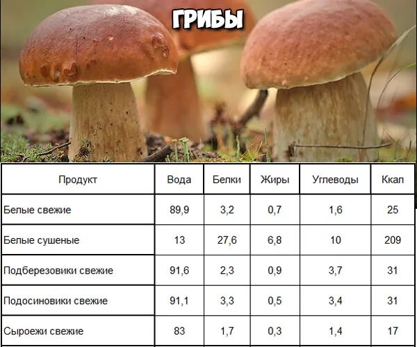 Белки в шампиньонах на 100 грамм. Грибы шампиньоны кбжу на 100 грамм. Сколько углеводов в грибах таблица. Содержание белка в грибах. Белки в шампиньонах на 100 грамм.