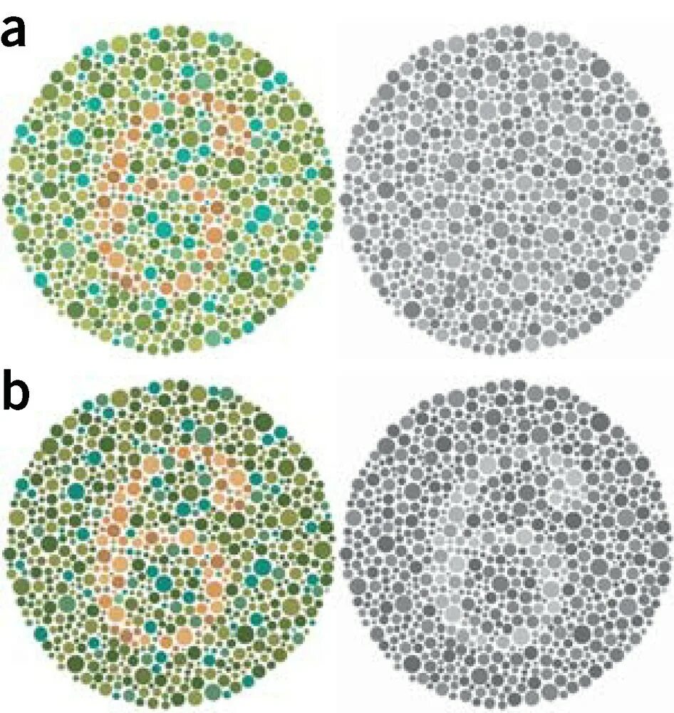 Тест с точками на зрение. Colorblind дальтонизм. Цвета для дальтоников. Тест на зрение цифры. Синяя цветовая слепота.