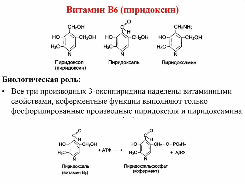 Витамин b6 кислота. Витамин в6 (пиридоксин) строение. Коферментная функция витамина в6. Витамин в6 формула химическая. Витамин b6 формула.
