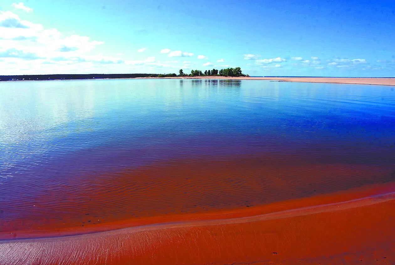 Обское озеро. Обское озеро в Новосибирске. Озеро у Обского моря. Бердск водохранилище.