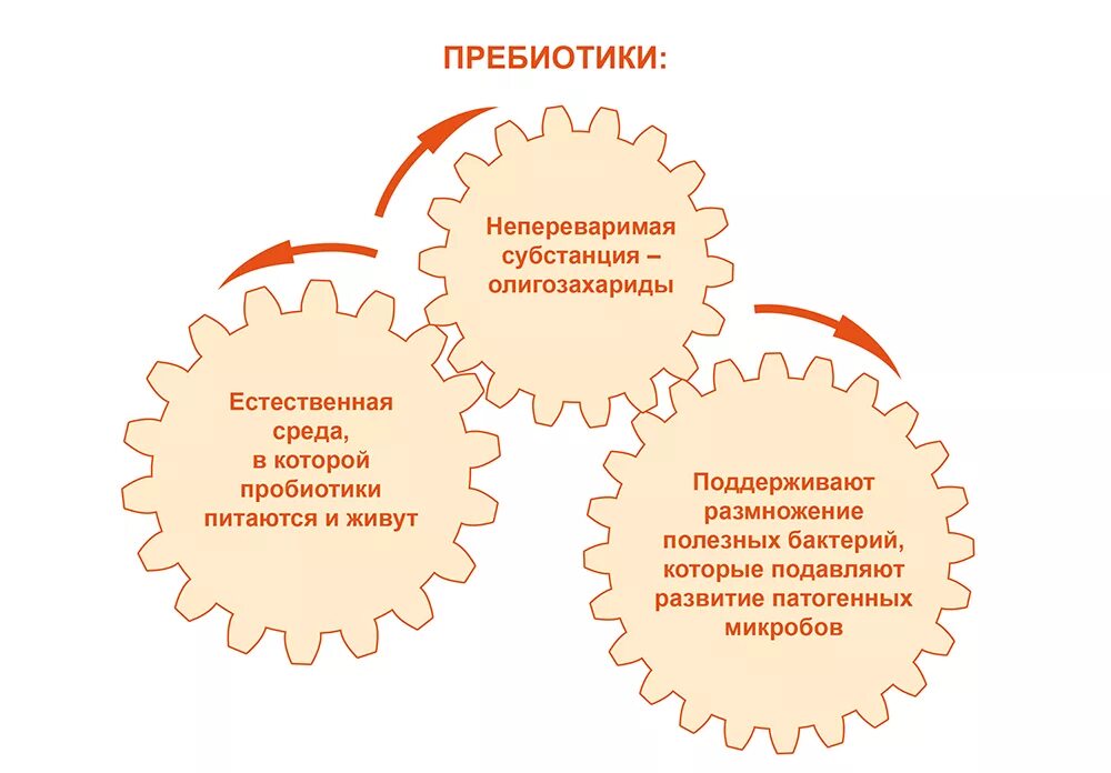 Для чего нужны пребиотики. Пробиотики и пребиотики схема. Пробиотики и пребиотики в чем. Пробиотики и пребиотики в чем разница. Пребиотики функции.