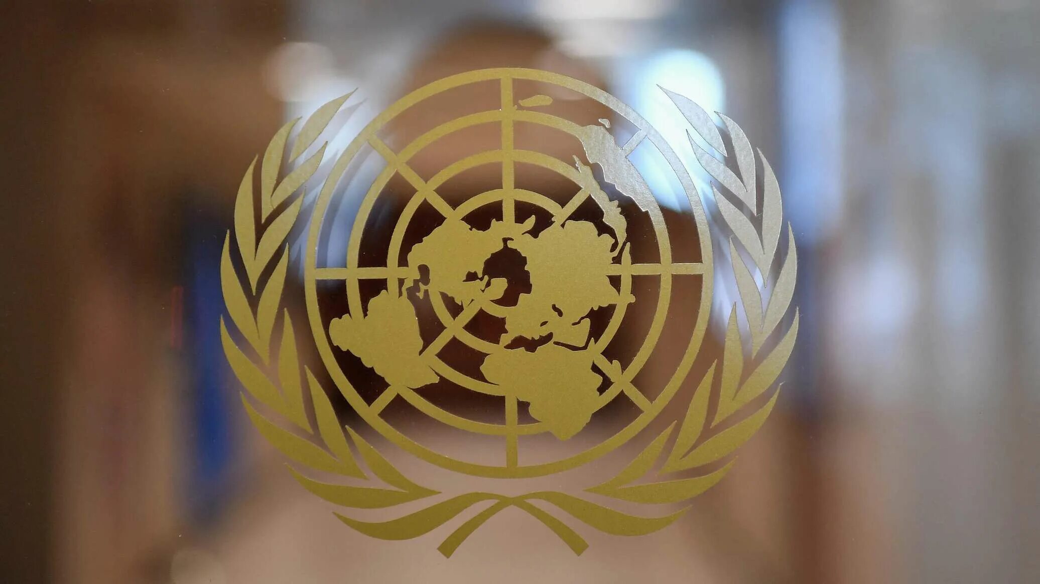 Угроза оон. Генеральная Ассамблея ООН логотип. Совет безопасности ООН эмблема. Модель ООН. Флаг ООН.