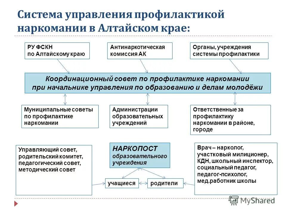 Молодежная политика муниципальное управление