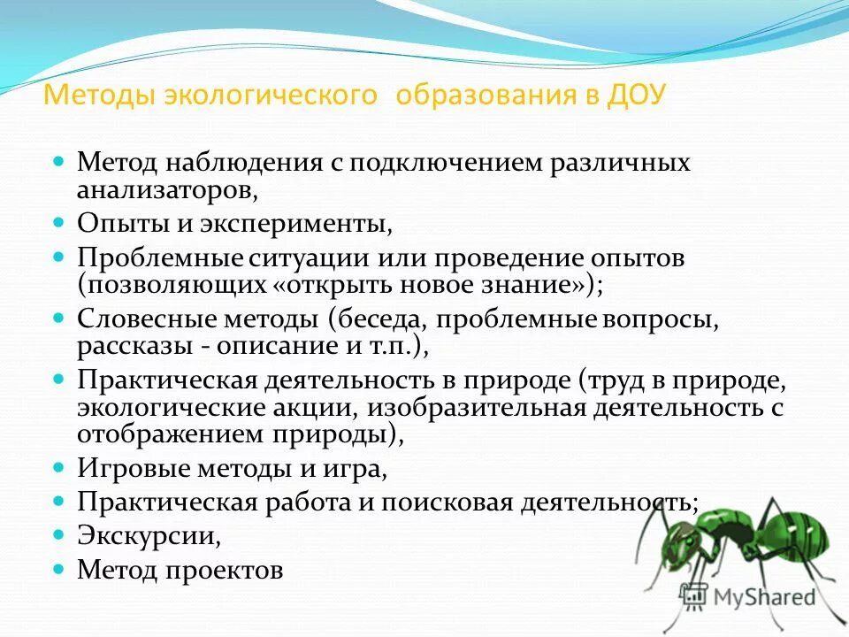 Методы экологического образования в ДОУ. Методы экологического воспитания детей. Методы экологического воспитания дошкольников. Методы и приемы по экологическому воспитанию дошкольников.