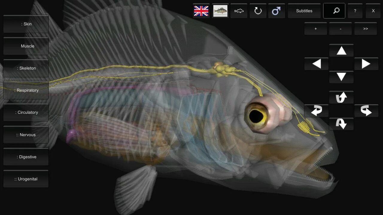 Fish 3 0