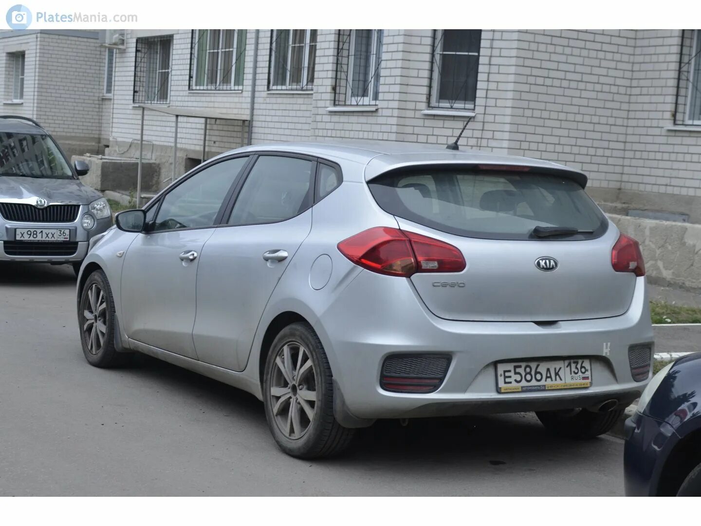 Сид россия. О936ех136 Kia Ceed. Kia серая Старая. Кия серый номер 138. Буксовал серый Киа.