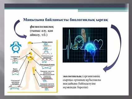 Іш киімдегі әйелдердің порнофотосуреттері