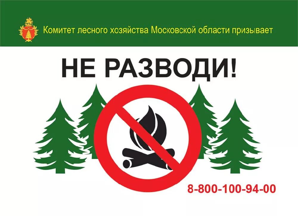 Знаки от пожара в лесу. Знак берегите лес от пожара. Противопожарные плакаты в лесу. Знаки пожарной безопасности в лесу для детей.