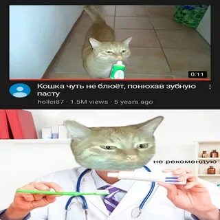 Стоматологи 10