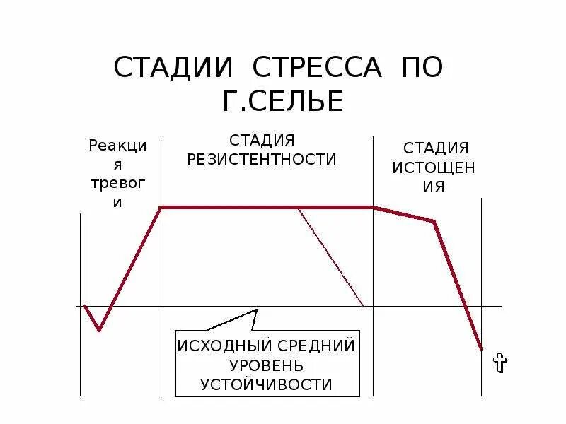 Назови стадии стресса. Ганс Селье стадии стресса. Фазы стресса по г Селье. Теория Ганса Селье стадии стресса. 3 Фазы стресса по г.Селье.