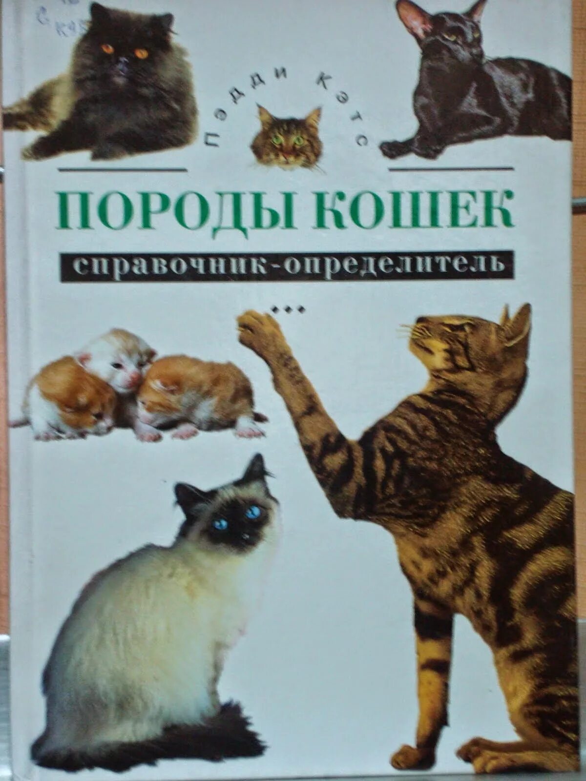Атлас от земли до неба кошки. Кэтс, пэдди. породы кошек книга. определитель породы кошек. атлас определитель породы кошек. атлас пород кошек книга.