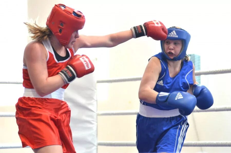 посещает секцию бокса. объявления на секцию бокса. секция бокса для детей. объявление набор в секцию бокса. набор в группу бокса.