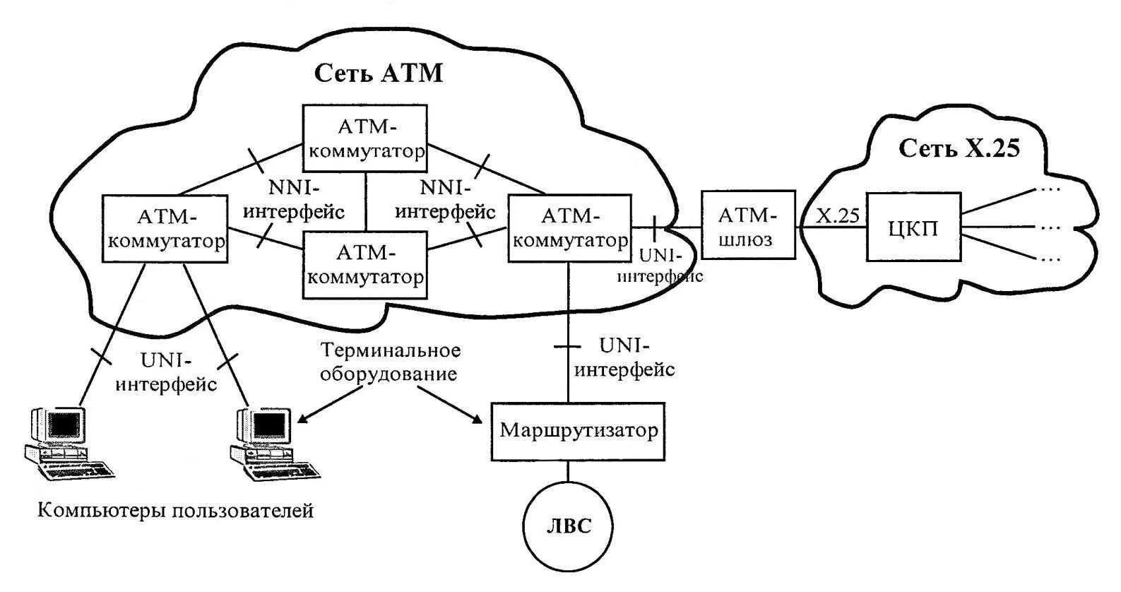 Таки сеть. Таки сеть