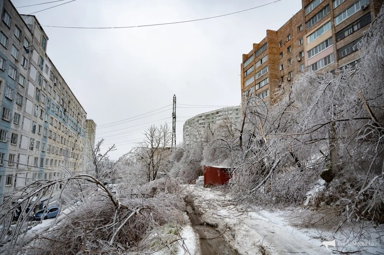 Ледяной дождь Владивосток. Ледяной дождь во Владивостоке 2020. Ледяной дождь во Владивостоке 2021. Ледяной шторм Владивосток 2020.