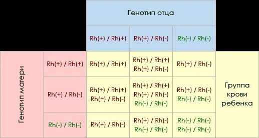 Группы крови MN. Группа крови по отцу. 3 Отрицательная группа крови. Наследование групп крови и резус фактора. Всего у отца 3 детей