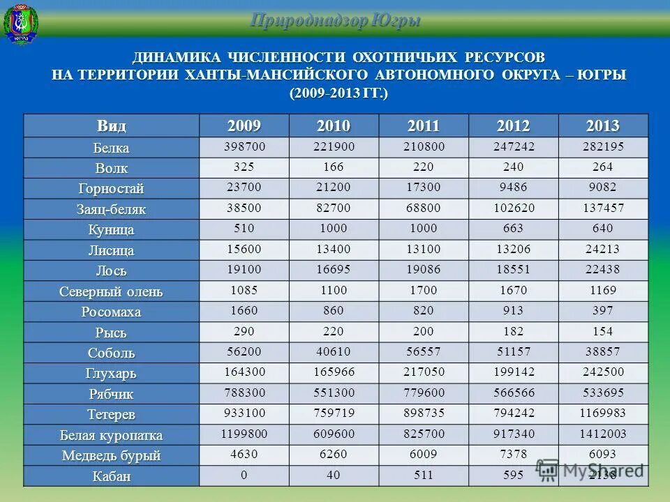 Таблица видов охотничьих ресурсов. Вид охотничьих ресурсов пт 1. Разрешение на добычу утки. Динамика численности зайца беляка. Вид охотничьих ресурсов расшифровка.