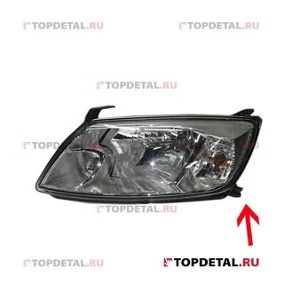 Головной свет гранта фл