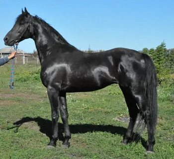 Meksika dam olish jinsiy aloqa Diana