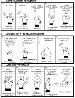Жесты судьи картинки