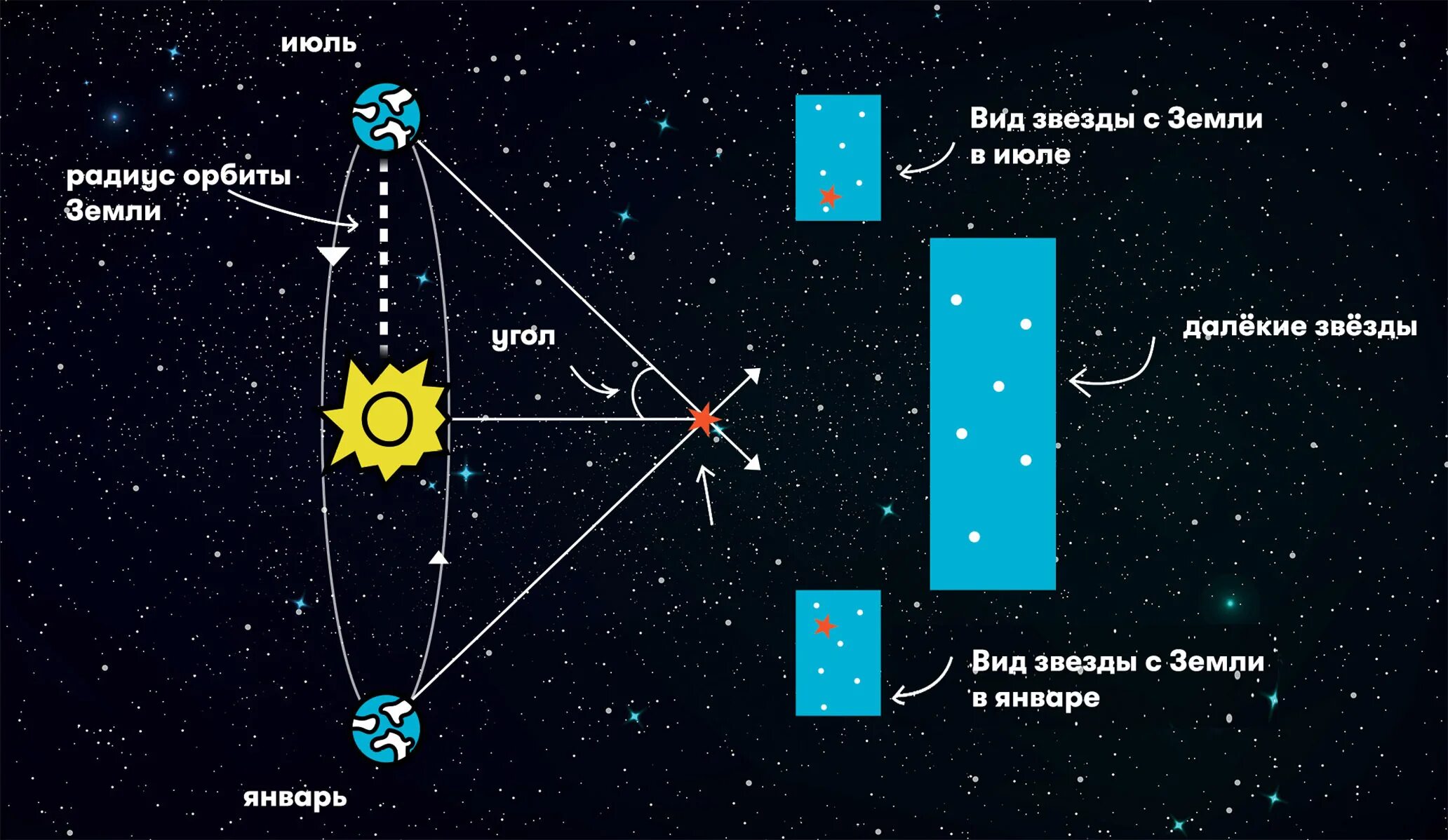 Радиус земной орбиты называется. Измерение годичного параллакса звезды. Расстояние до звезд. Звезда астрономия. Метод измерения параллаксовзвёзд..