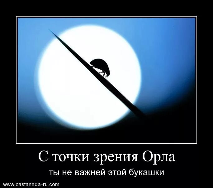 Цитаты про точку. Кастанеда демотиватор. кастанеда юмор. кастанеда мемы. кастанеда цитаты демотиватор.
