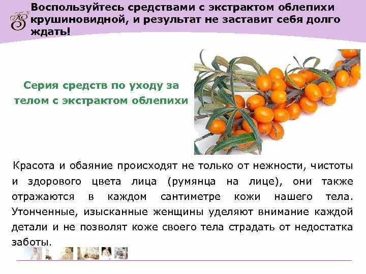 Облепиха какие витамины содержит. Облепиха крушиновидная препараты. облепиха крушиновидная формула цветка. экстракт облепихи крушиновидной. формула цветка облепихи.