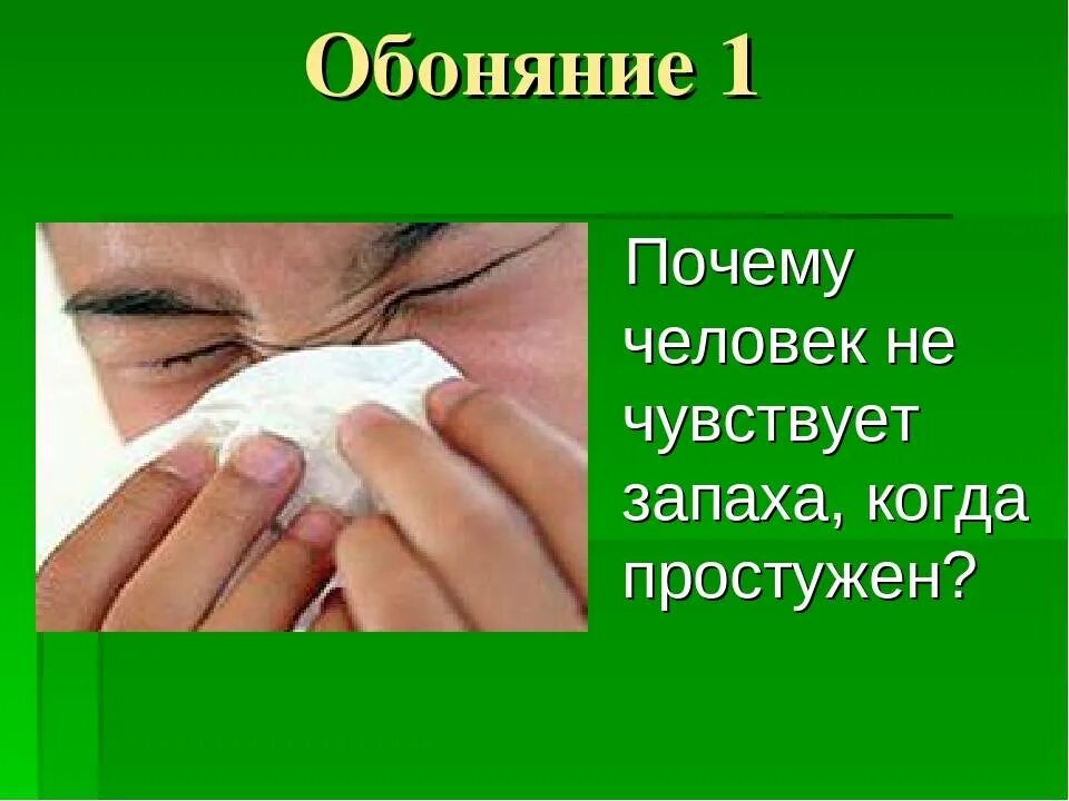 Обоняние запахи. Пропало обоняние. Пропало чувство обоняния. Исчезновение запаха при насморке.