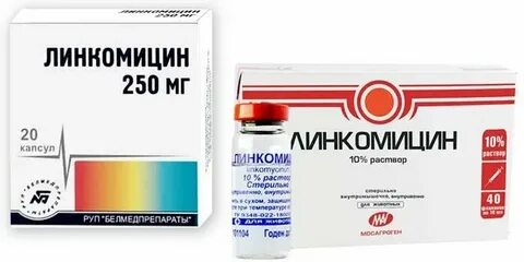 Стафилококк носа горла лечение