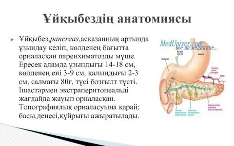 Мүше менің жатырымды созды