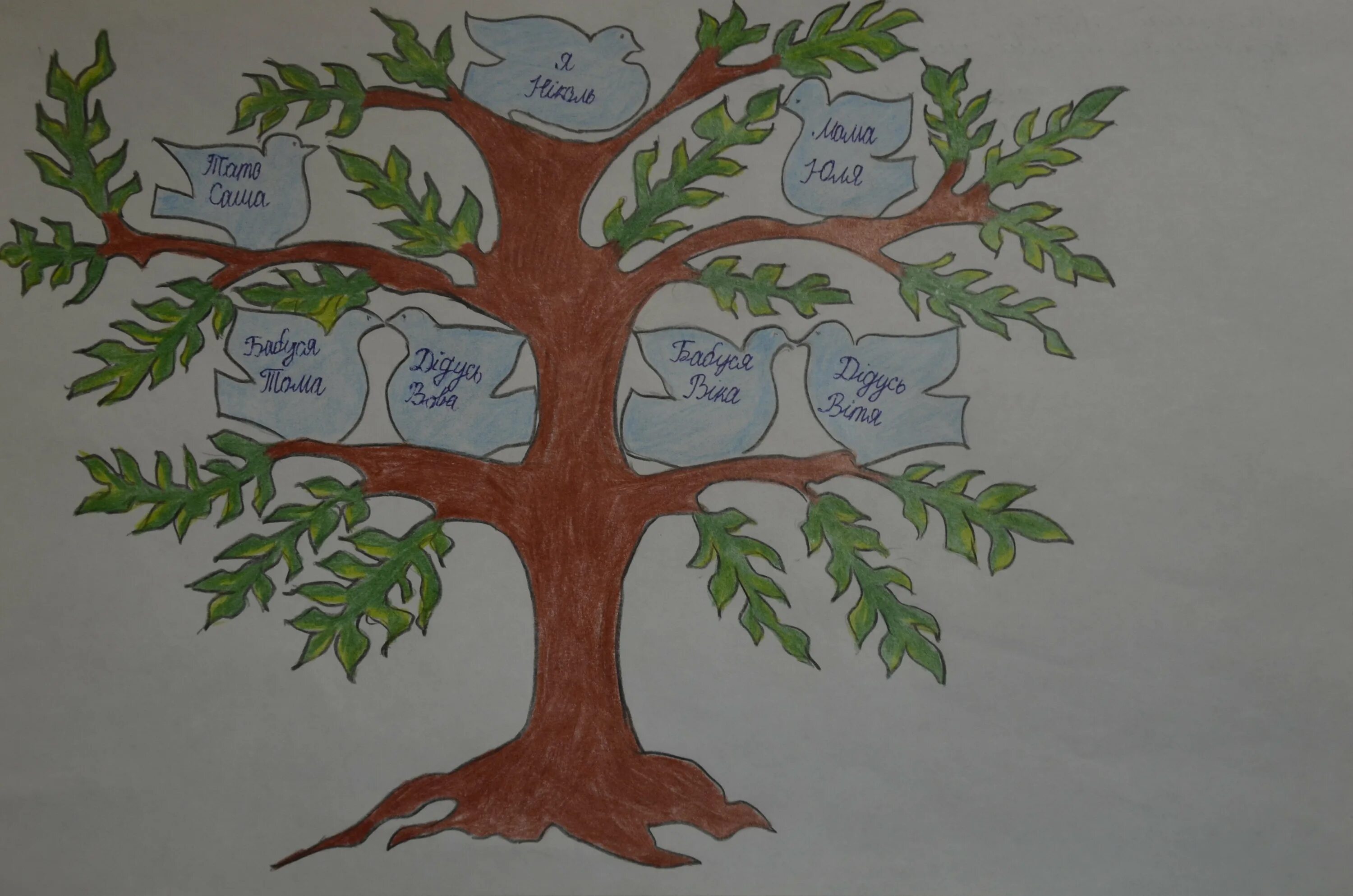 Семейное дерево. Семейное дерево рисунок. Нарисовать дерево семьи. Нарисуйте родословное дерево своей семьи.