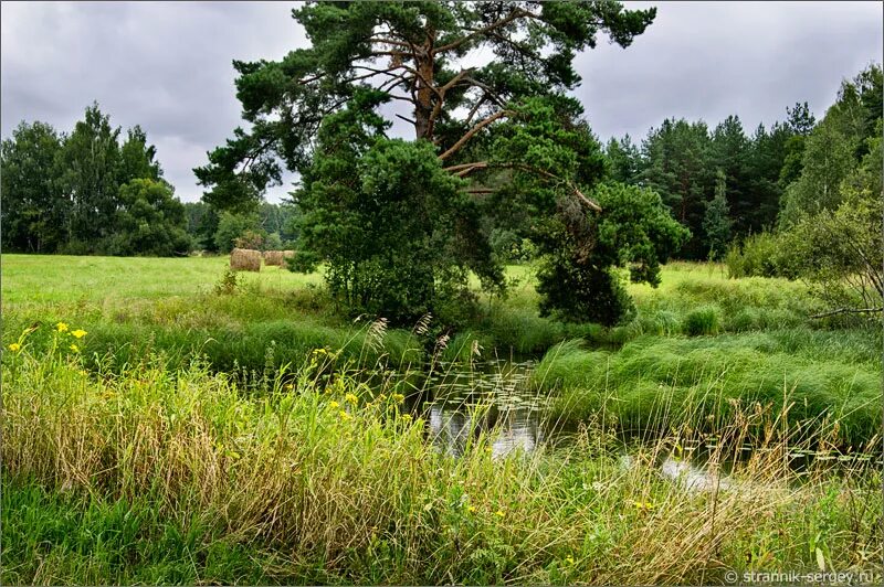 кебеж река. небольшая местами пересыхающая летом речушка. небольшая местами пересыхающая летом речушка. малые реки. сухая речка крым.