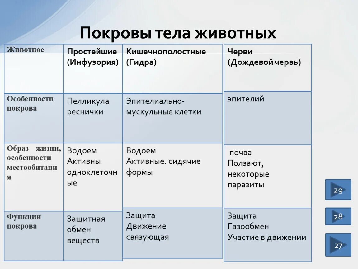 Покровы тела выполняют функции. Таблица по биологии 7 класс покровы тела. Покровы животных таблица. Покровы тела животных. Покровы тела у животных простейшие.