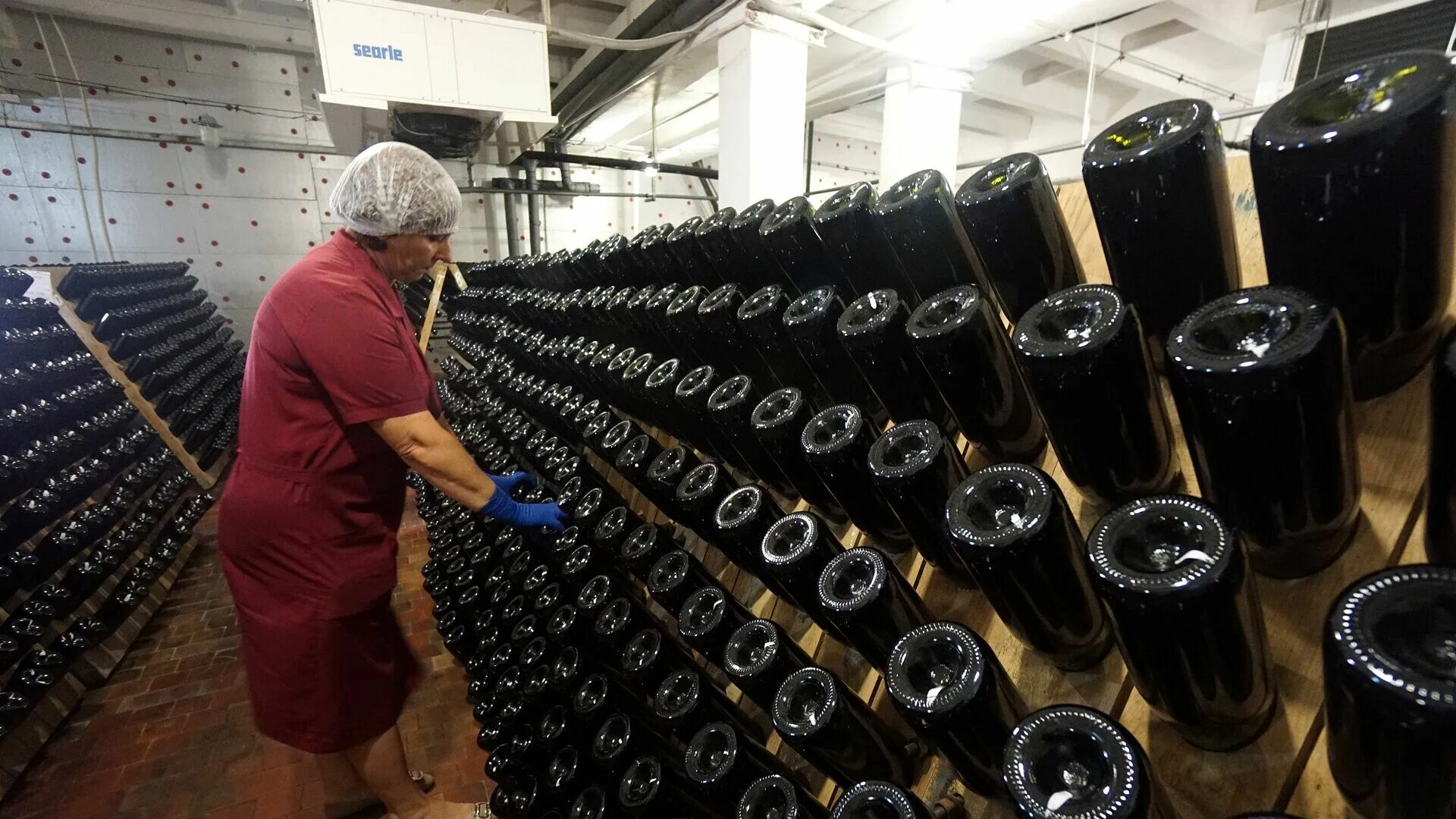 Wine processing